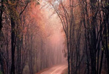 比赛正义：中超比赛球员以公正操守，展现俱乐部风采