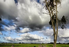 皇马阿贾克斯神秘送礼白衣军团瓜帅危机重重