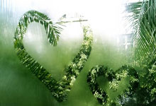 瑞士队力克对手，晋级下一轮：荣耀与希望同行