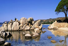 波兰成绩不俗：强硬防守击败对手